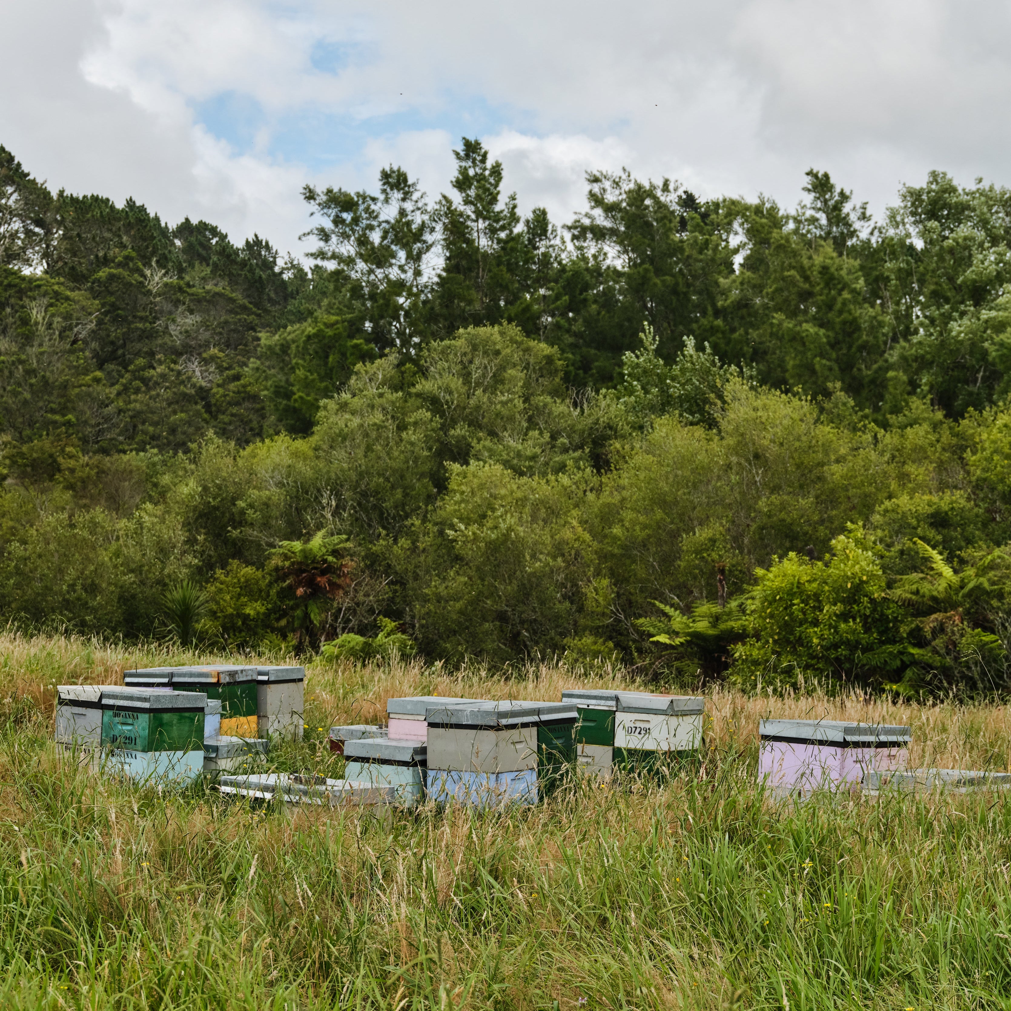 Beeswax Eau de Parfum