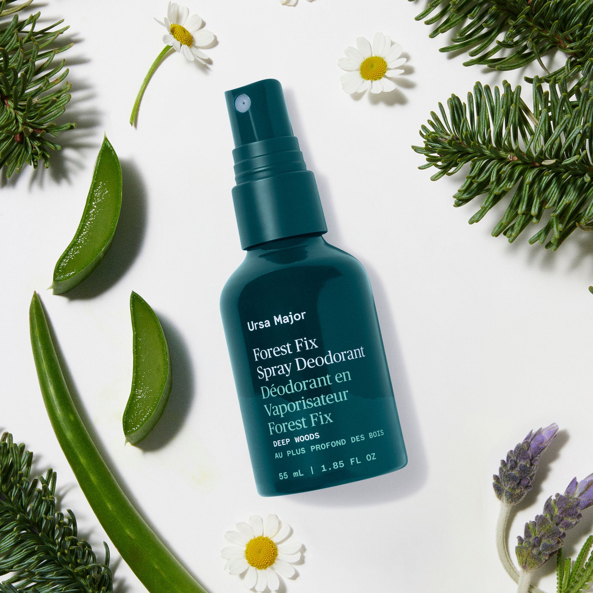 Forest Fix Spray Deodorant