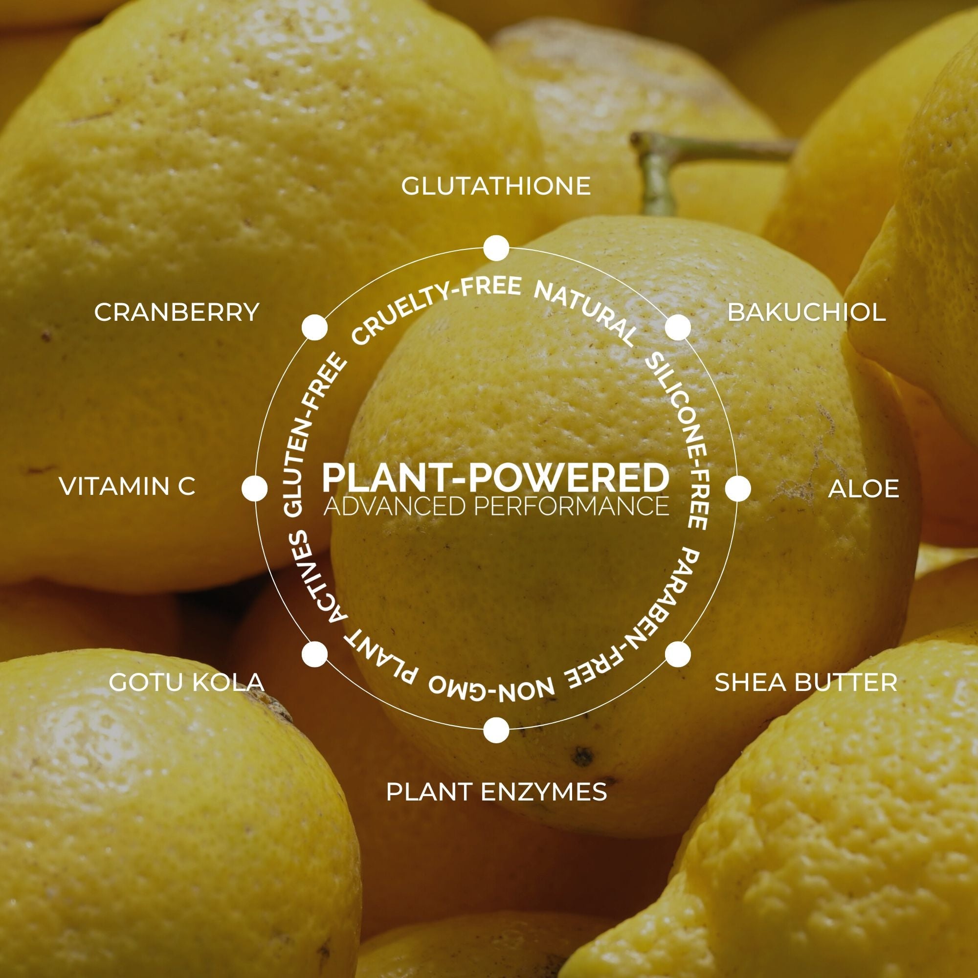 Vitamin C + Bakuchiol Body Serum-In-Cream