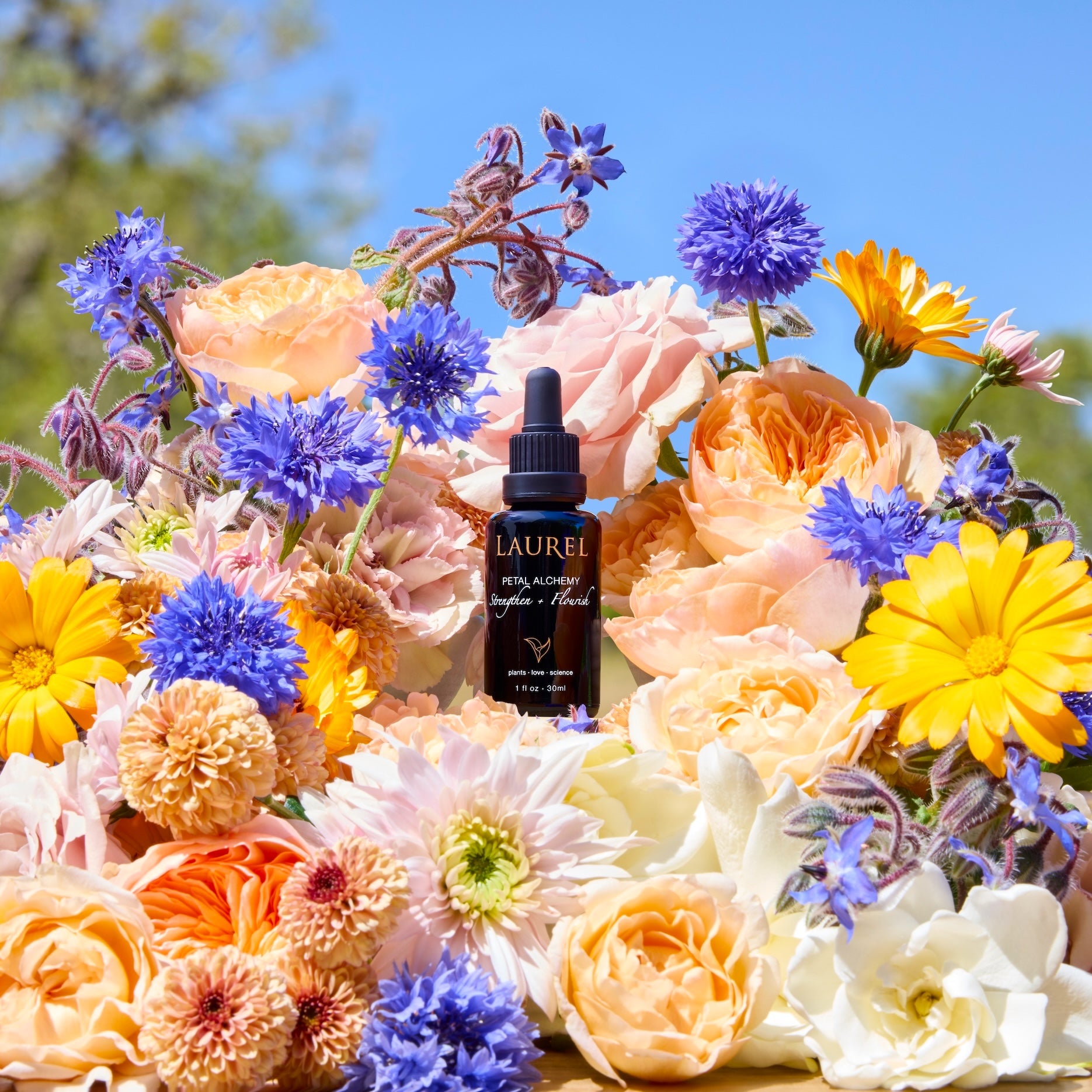 Laurel Petal Alchemy with Flowers