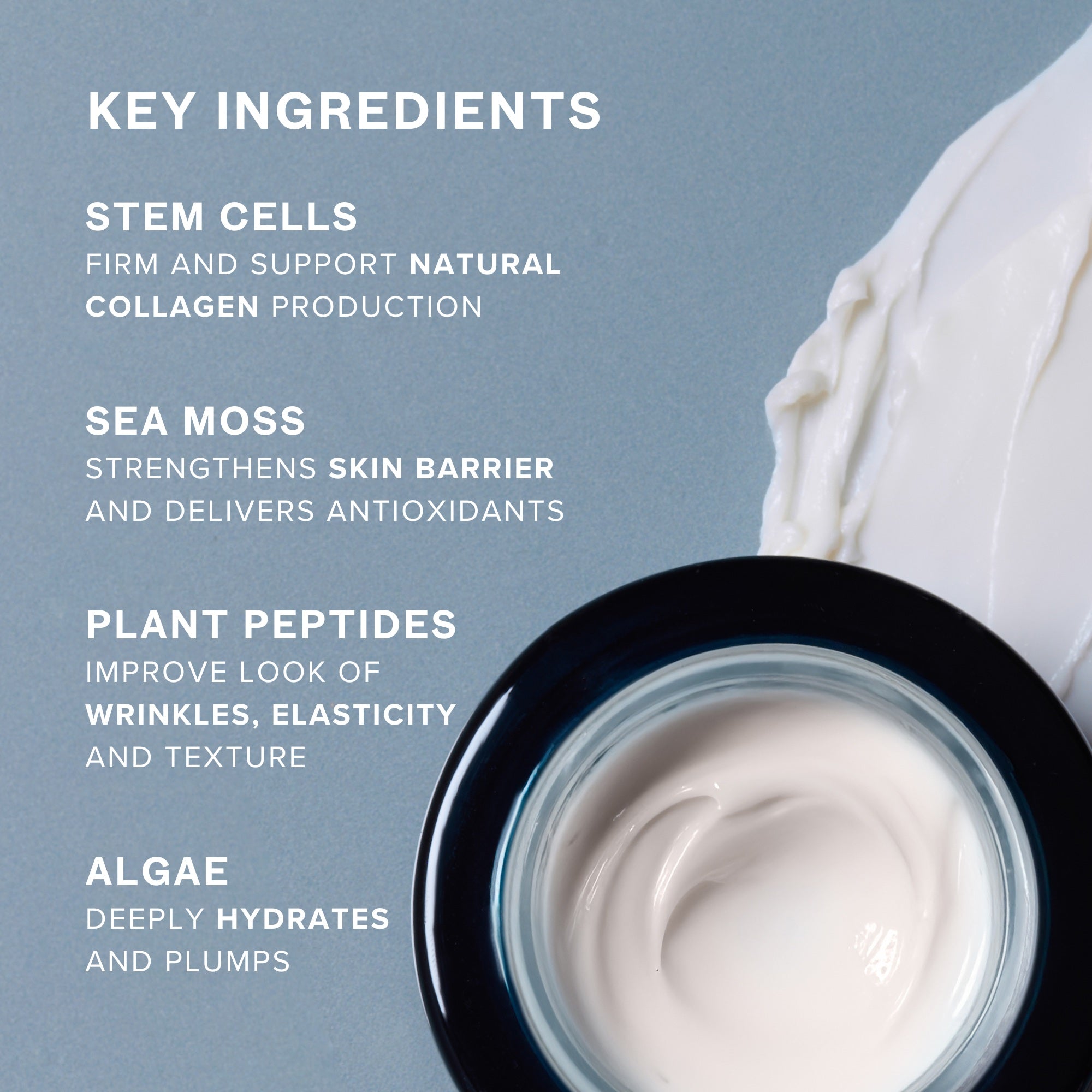 SeaDream Firming Algae Créme