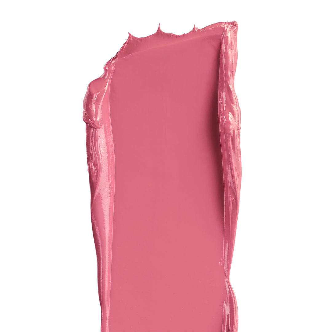 Manasi 7 | All Over Colour Dianthus | Swatch Image - bright rosy pink cream swatch on a white background