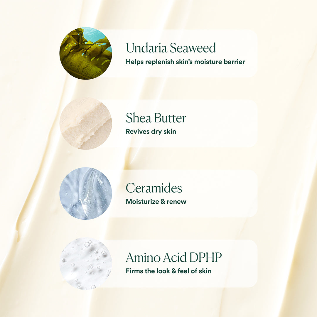 OSEA | Undaria Algae Body Butter | Key Ingredients Image - key ingredients including Undaria seaweed, shea butter, ceramides, and amino acid DPHP