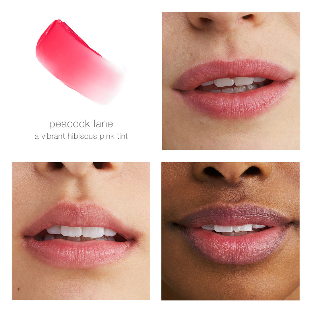 RMS Beauty | Tinted Daily Lip Balm | Peacock Lane Shade Comparison Image - lip swatch and shade shown on light and deep skin tones