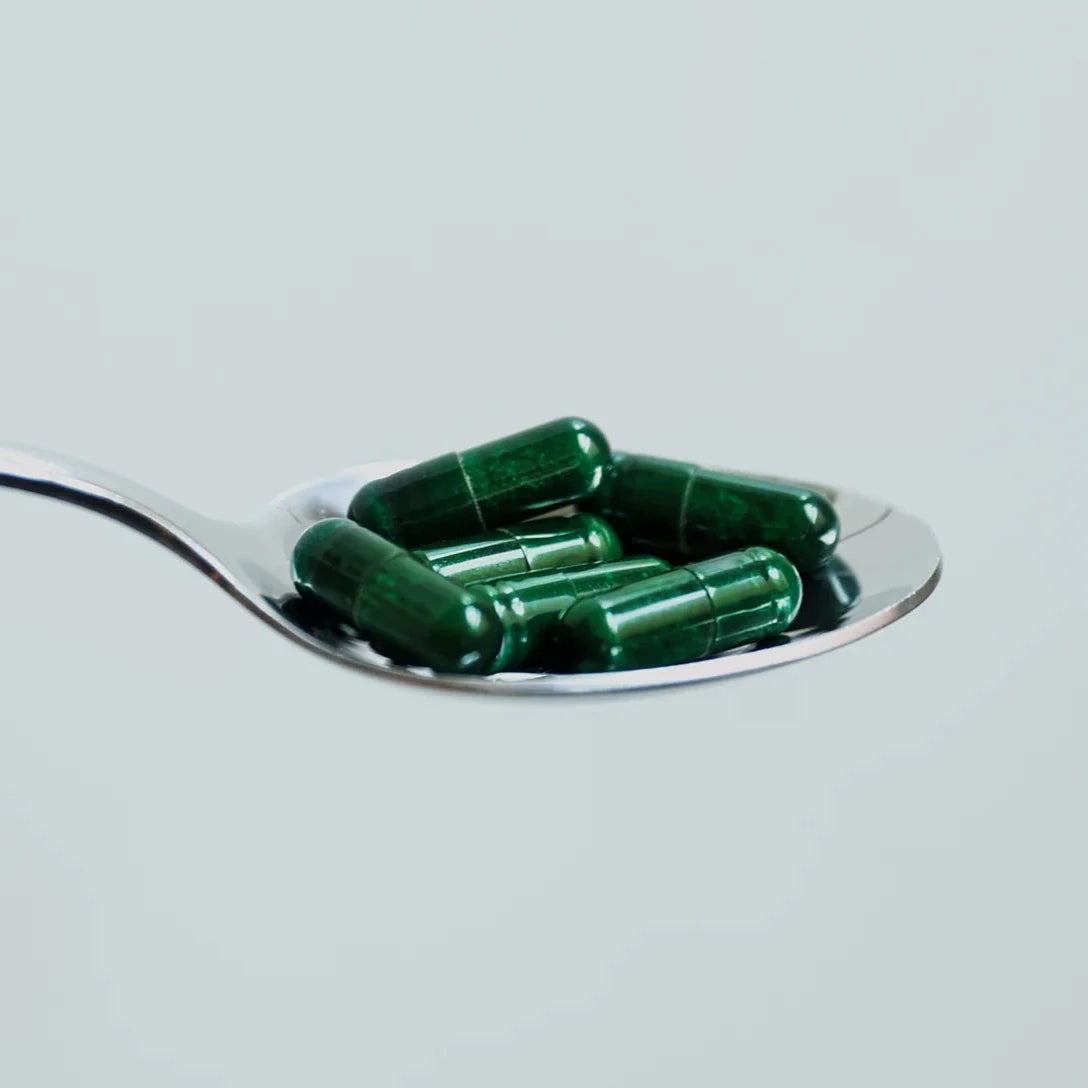 Gut Therapy