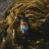 Kelp Forest Shampoo - Beauty Heroes®