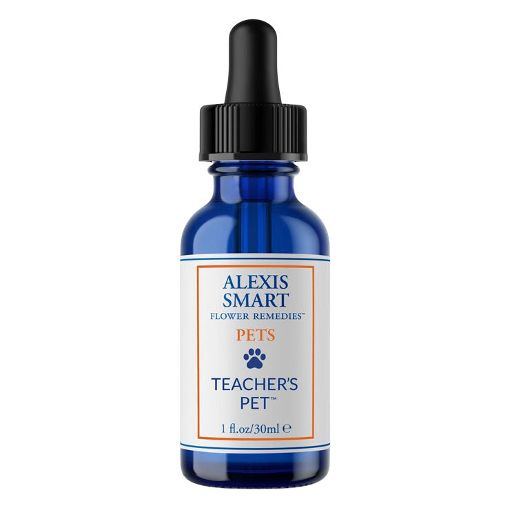 Pets Teacher's Pet
