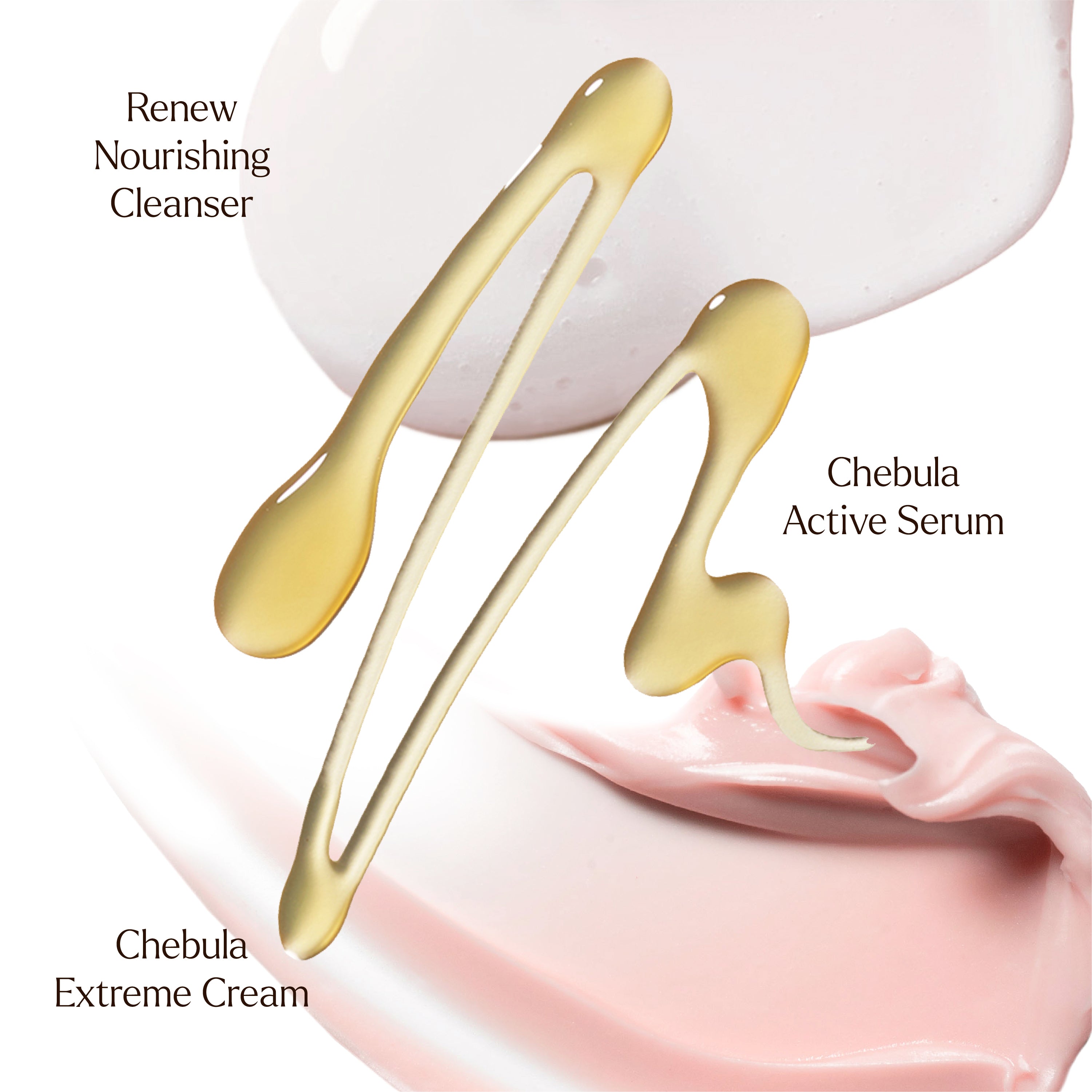 Deep Hydration Renewal Daily Essentials