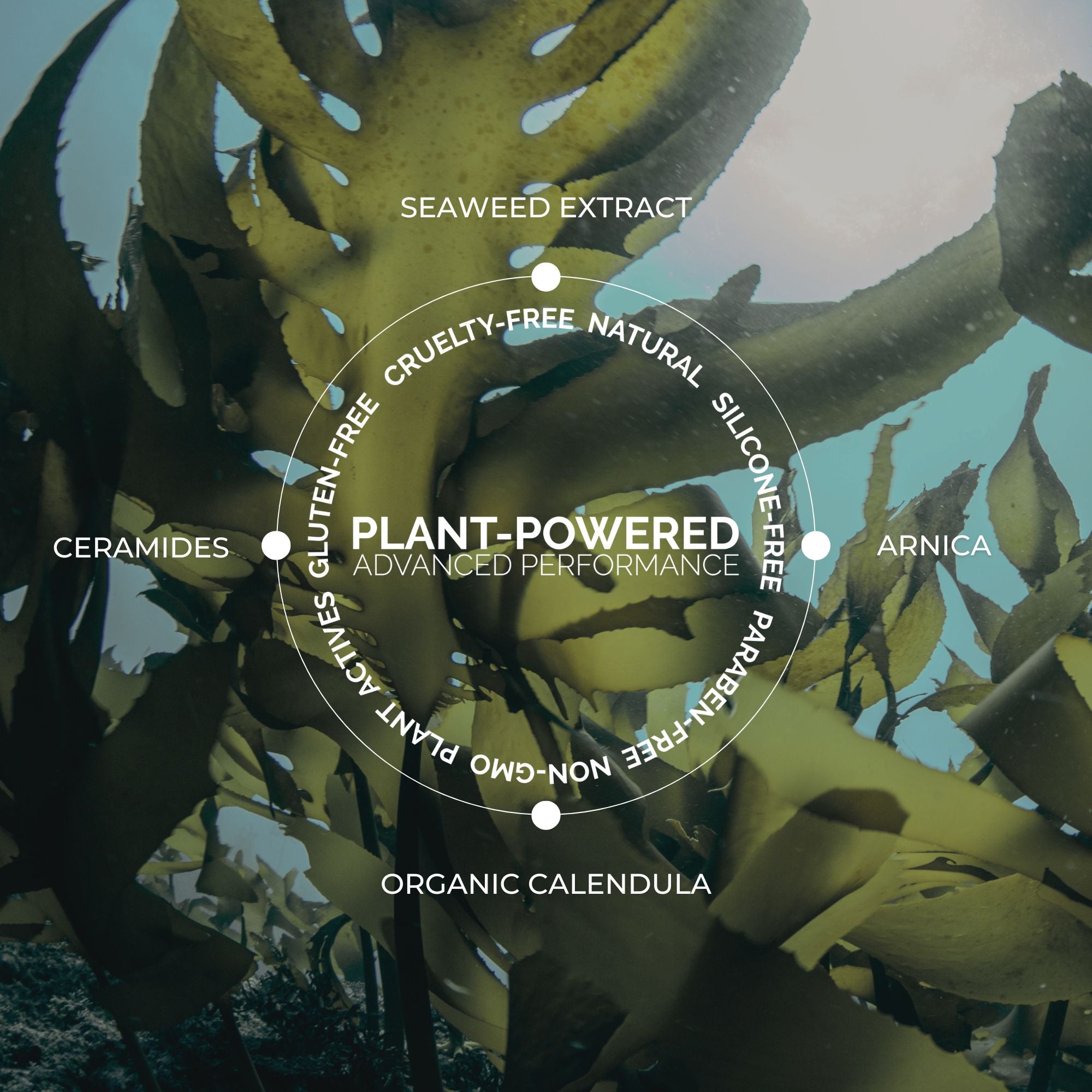 Sea Ceramide Toning Mist