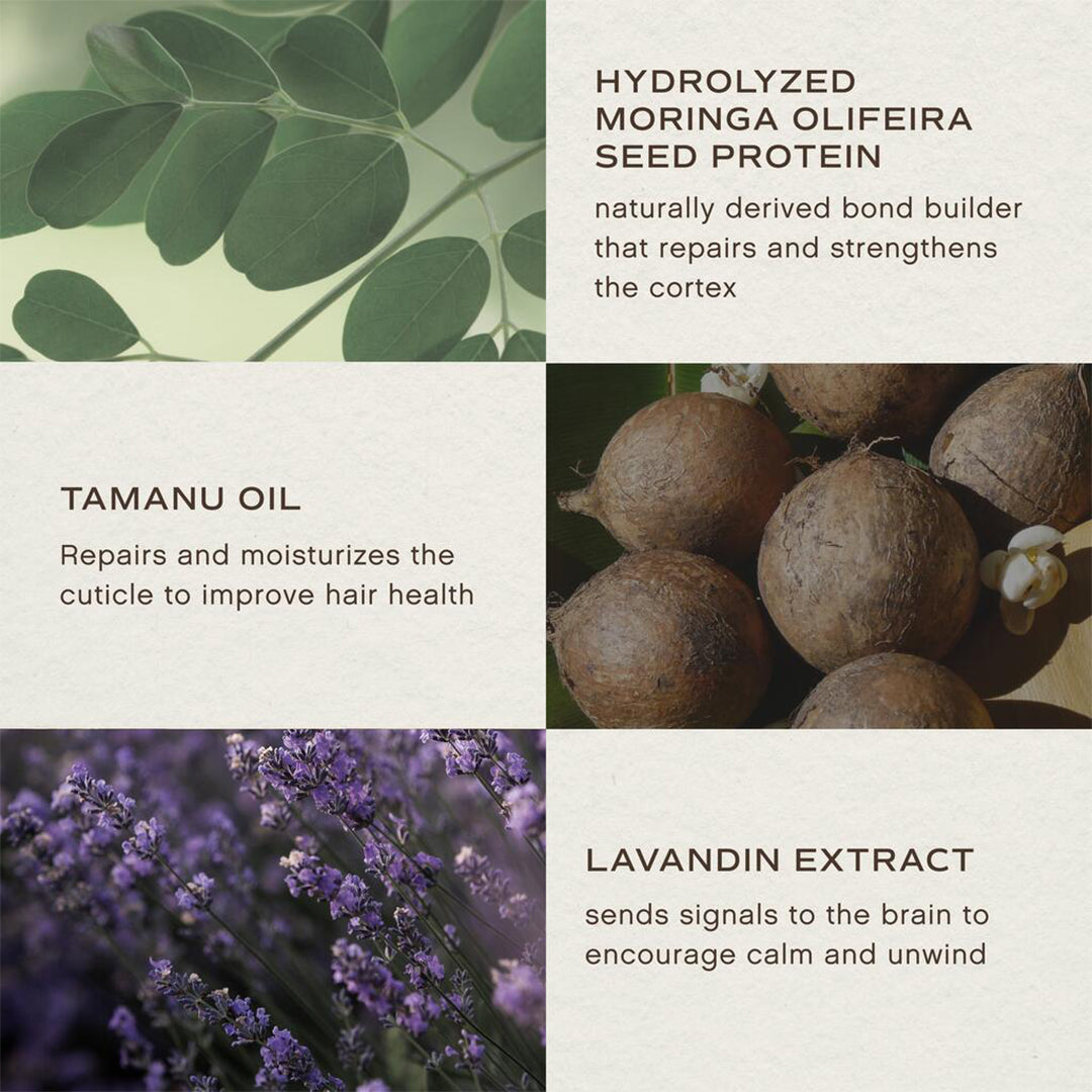 Innersense Organic Beauty | Overnight Repair Serum | Key Ingredients Image - graphic highlighting hydrolyzed moringa seed protein, tamanu oil, and lavandin extract