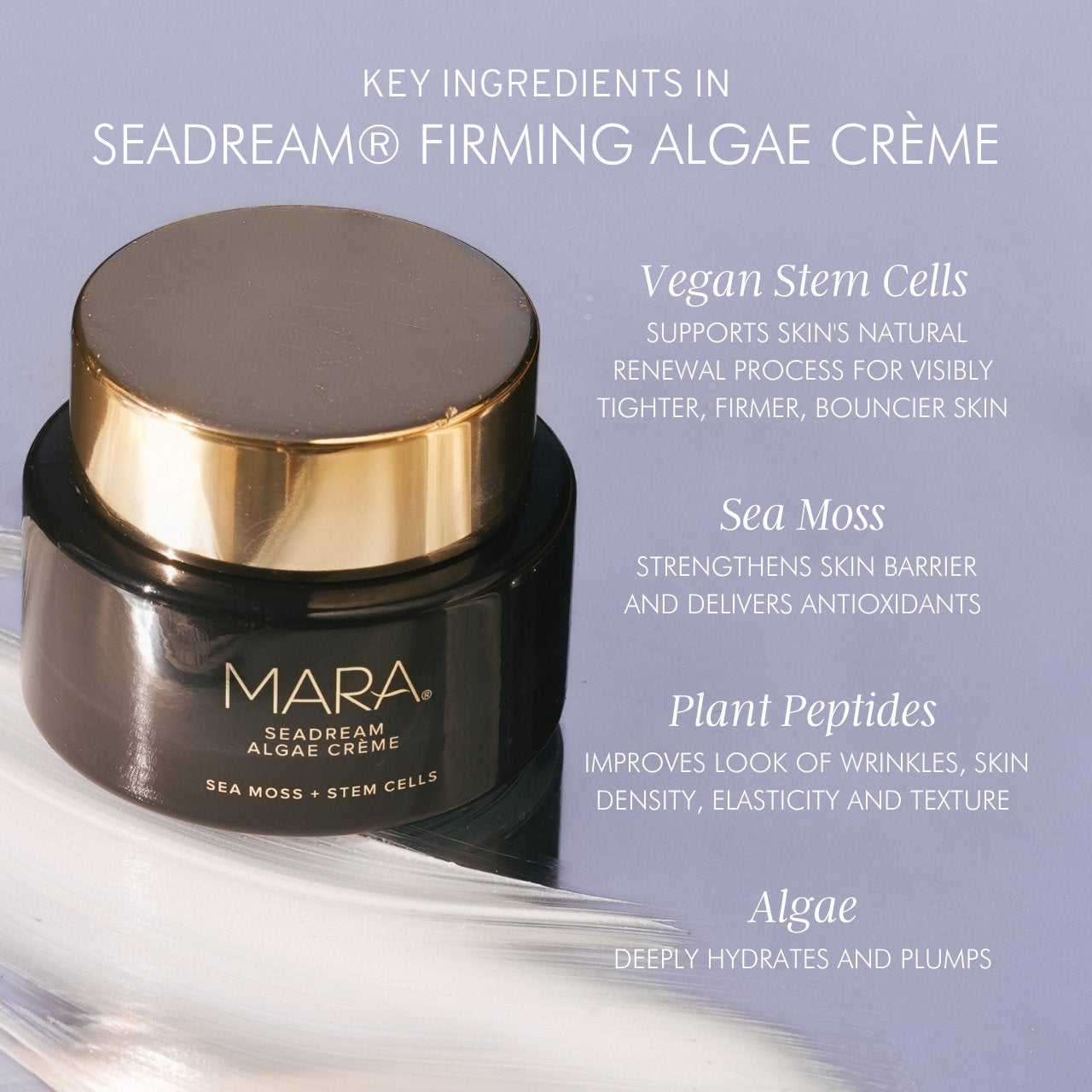 SeaDream Firming Algae Créme