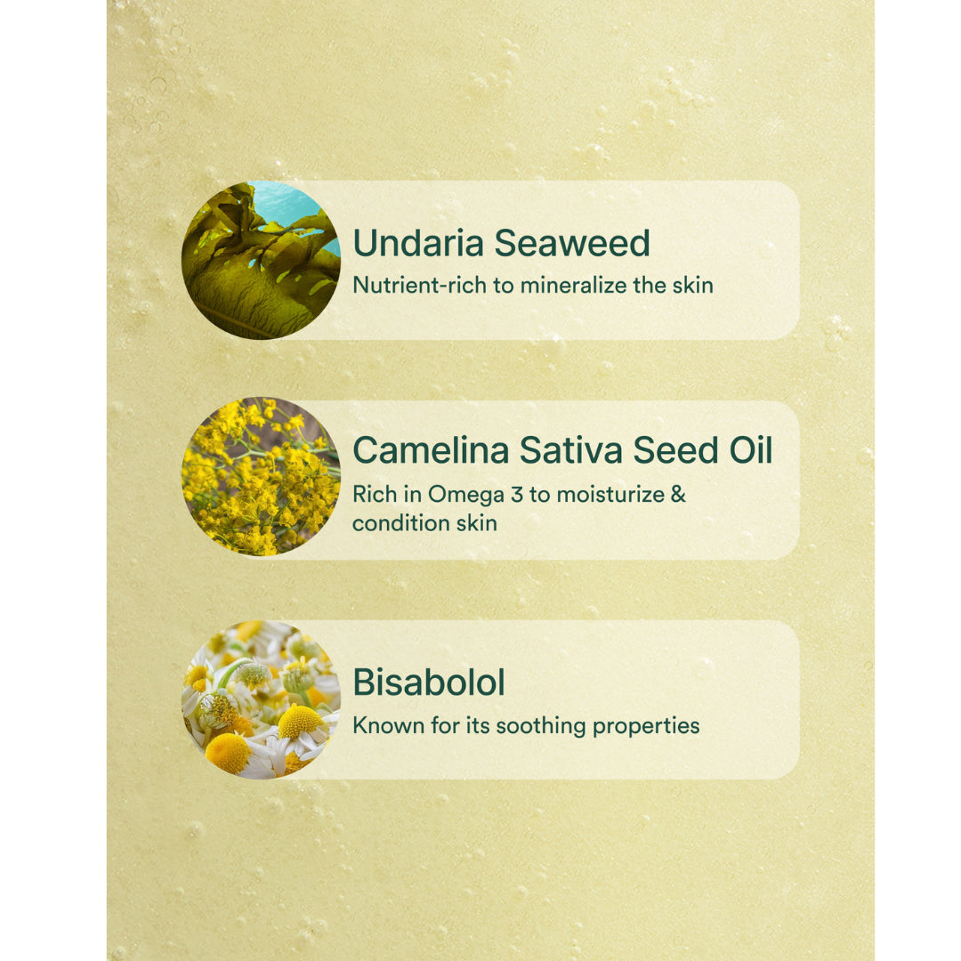 OSEA | Bi Phase Oil Cleanser | Key ingredients - Ingredient highlights featuring undaria seaweed, camelina seed oil, and bisabolol with benefits on a textured background