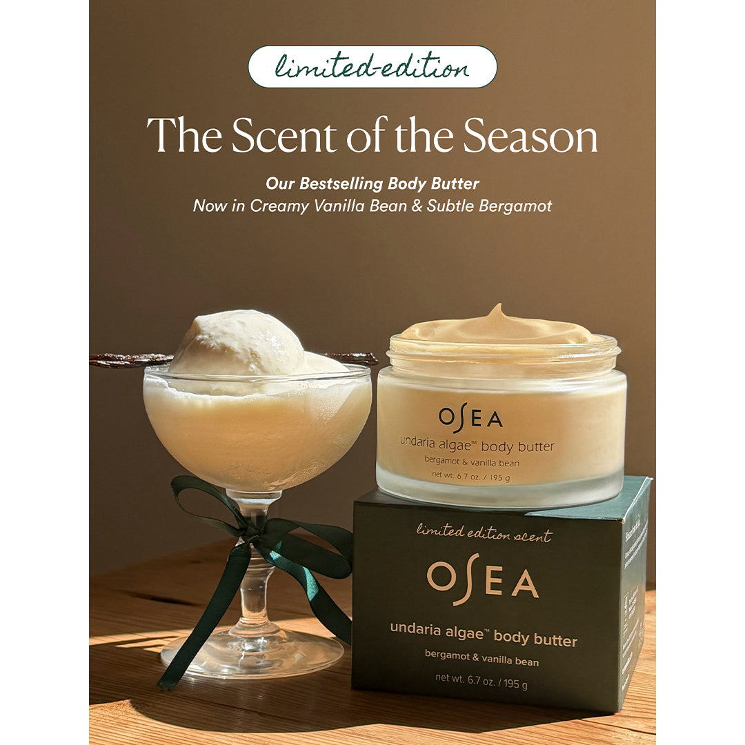 OSEA | Undaria Algae Body Butter | Scent of the Season Image - limited-edition body butter and box displayed beside a creamy dessert-inspired scene