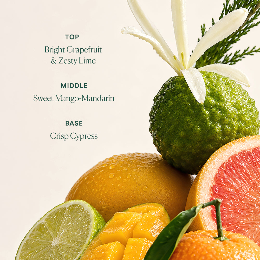 OSEA | Undaria Uplift Fragrance Mood Oil | Fragrance Notes Image - grapefruit, lime, mango, mandarin, and cypress illustrating the fragrance notes of OSEA Undaria Uplift Fragrance Mood Oil