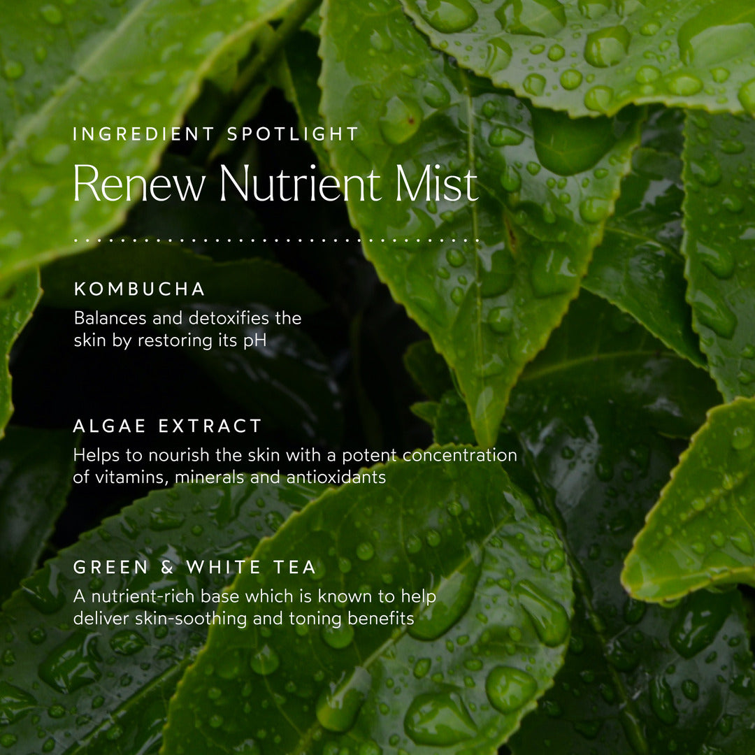 Renew Nutrient Mist