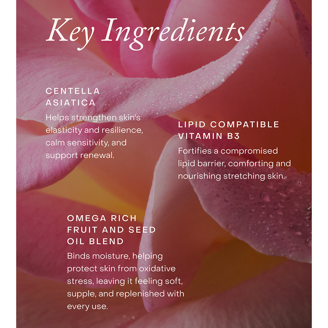 True Botanicals | Mindful Mama Belly & Body Oil | Key Ingredients Image - key ingredients featuring centella asiatica, lipid-compatible vitamin B3, and an omega-rich fruit and seed oil blend