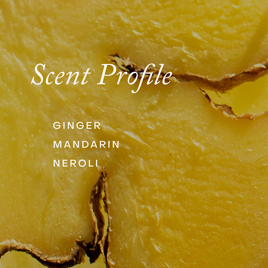 True Botanicals | Mindful Mama Belly & Body Oil | Scent Profile Image - scent profile featuring ginger, mandarin, and neroli