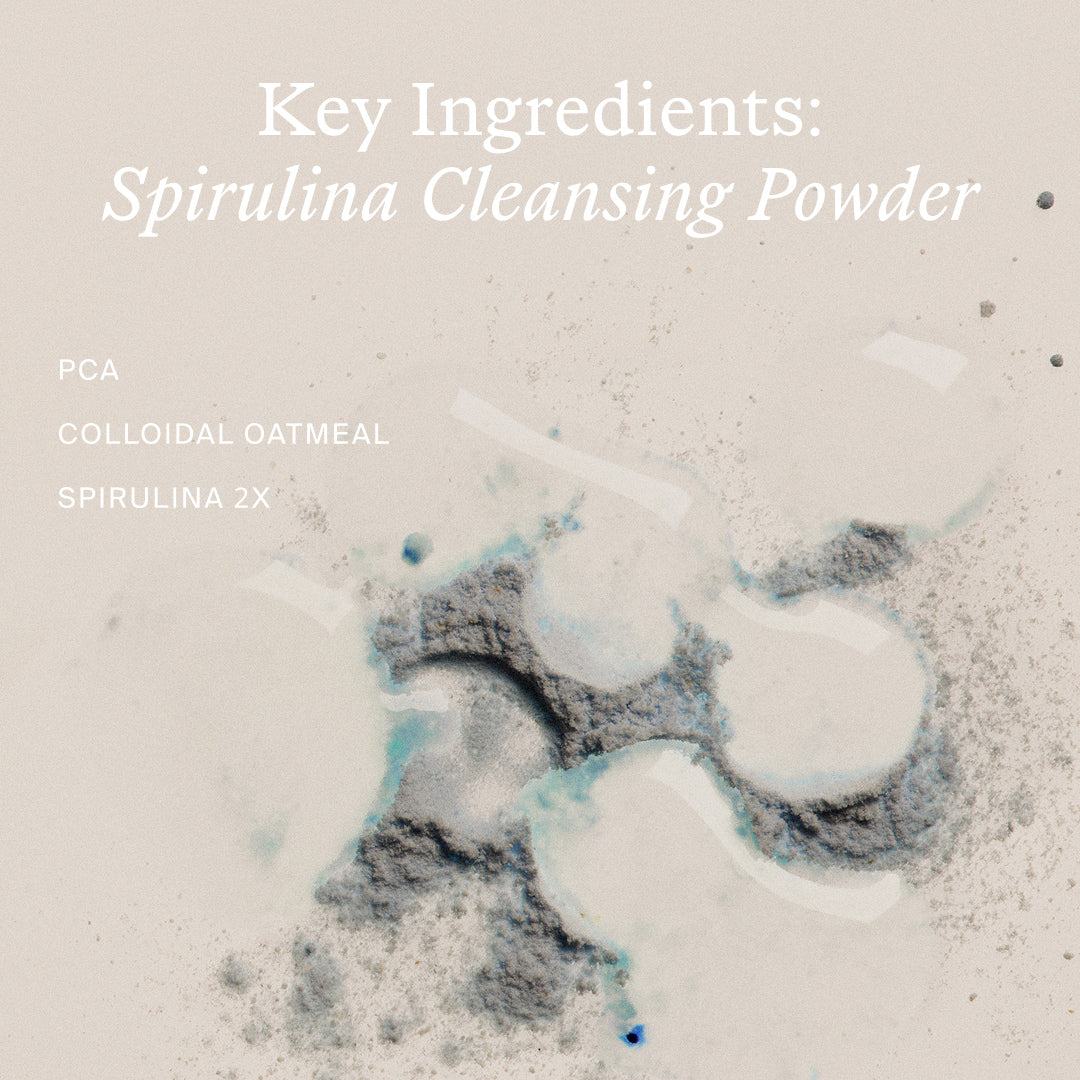 True Botanicals | Spirulina Cleansing Powder | Key Ingredients - Spirulina Cleansing Powder key ingredients with powder texture