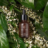 Renew Pure Radiance Oil - Beauty Heroes®